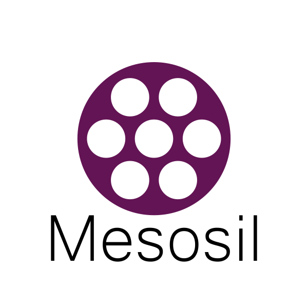 Mesosil company logo